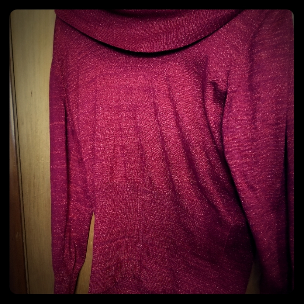 Red glitter top
